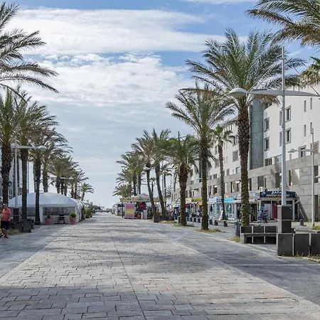 Palme D Or N 37 - 2p6c Apartman Agde