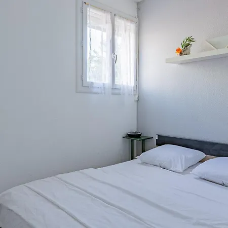 Palme D Or N 37 - 2p6c * 阿格德