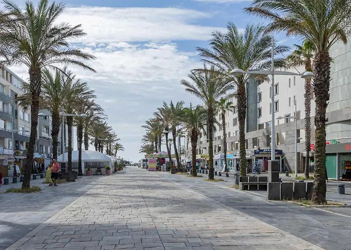 Palme D Or N 37 - 2p6c アパート アグド